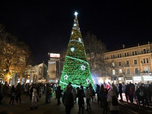 13-метровата коледна елха на Пловдив грейва на 1. декември