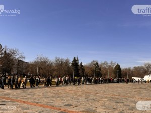 Дълга опашка се изви за безплатни дръвчета в Пловдив