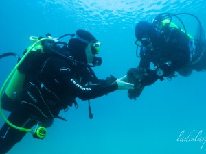 България кандидатства с Несебър за Център за подводно и световно наследство на ЮНЕСКО