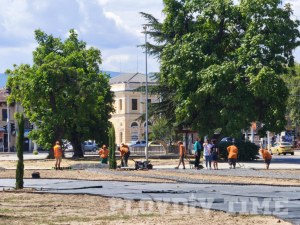 Над 2500 храсти, 25 дървета и много цветя ще украсяват кръговото на Централна гара