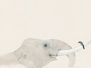 Юлиян Табаков представя книга с илюстрации в Пловдив