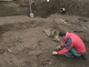 Археологическият музей кани на лекция за откритията от 2024 г.