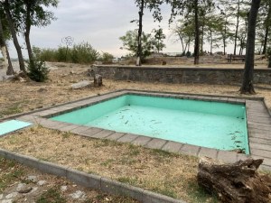 Покъртителни гледки по тепетата, хълмовете загиват без вода
