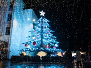 Пловдив грейна! Коледната елха събра стотици на площада пред Общината