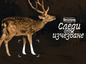 Пловдив посреща пътуващата изложба „Следи от изчезване“