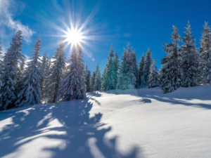 Настъпи астрономическата зима