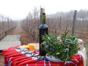 Празнуваме лозарите, винарите, археолозите  и Деня на любовта