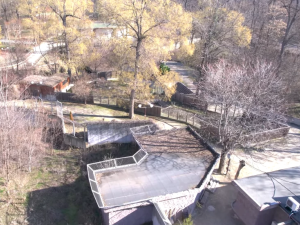 Откриват зоопарка в Пловдив догодина?