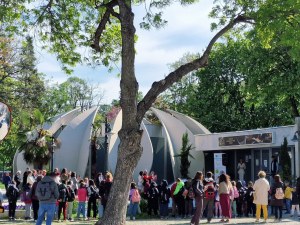 На “Млада синя земя“: Малчугани рисуват в подкрепа на детското отделение в УМБАЛ “Св. Георги“