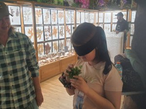 Къде да отидем в неделя в Пловдив