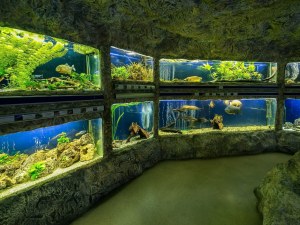 Планетариумът на Природонаучния музей преустановява работа