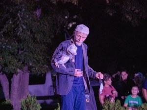 TheatAir с отворена покана  за артистична резиденция за изработка на големи парадни кукли